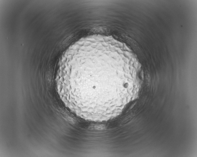 X0000077990665200611251413