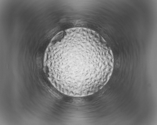 X0000077990666200611251413