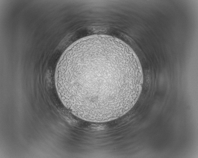 X0000077990667200611251413