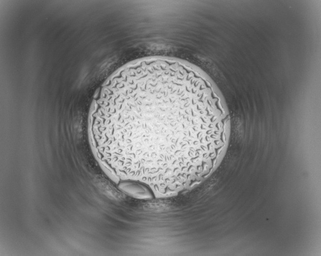 X0000077990668200611251413