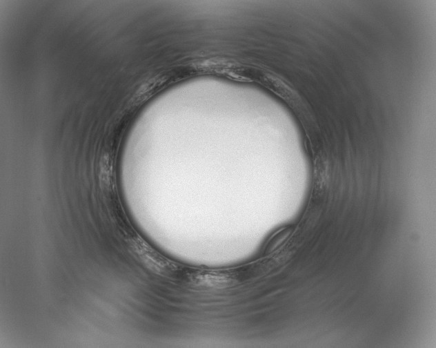 X0000077990669200611251413