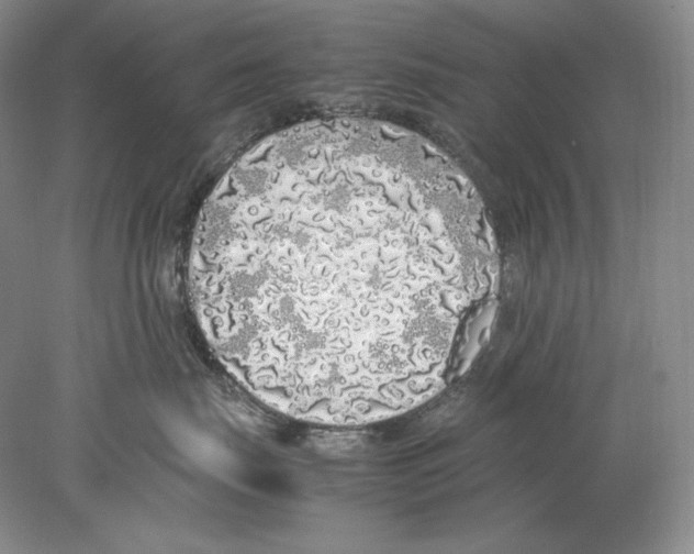 X0000077990671200611251413