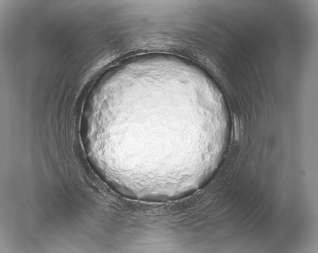 X0000077990675200611251412