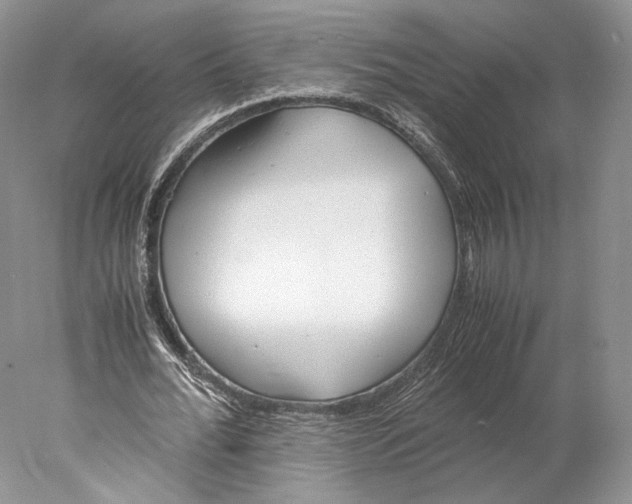 X0000077990676200611251412