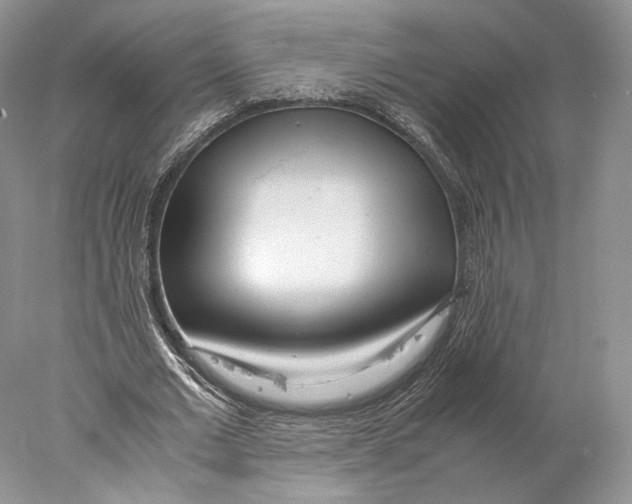 X0000077990677200611251412
