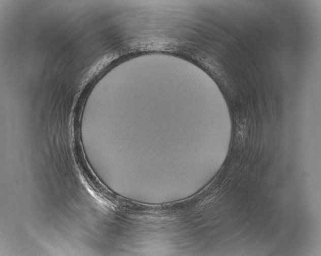 X0000077990678200611251412