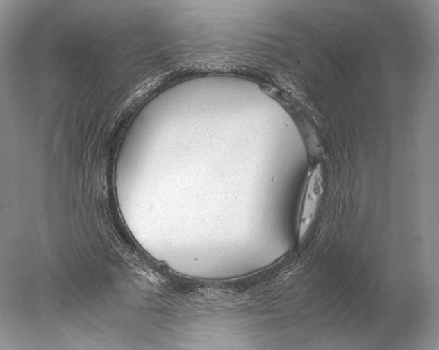 X0000077990681200611251412