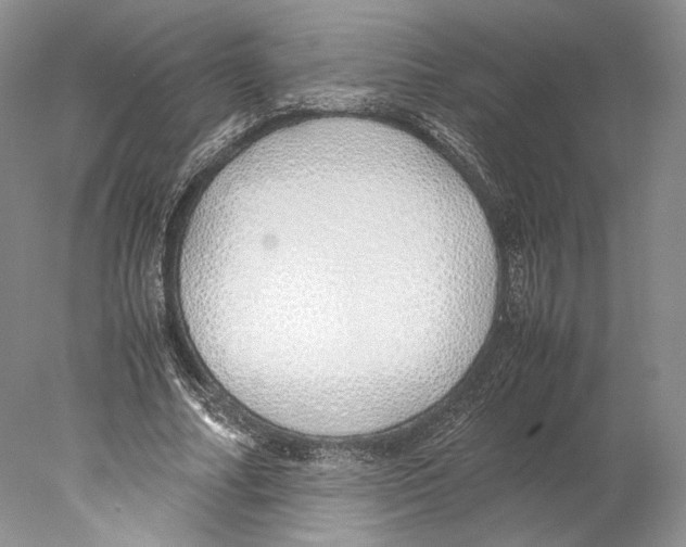 X0000077990682200611251412