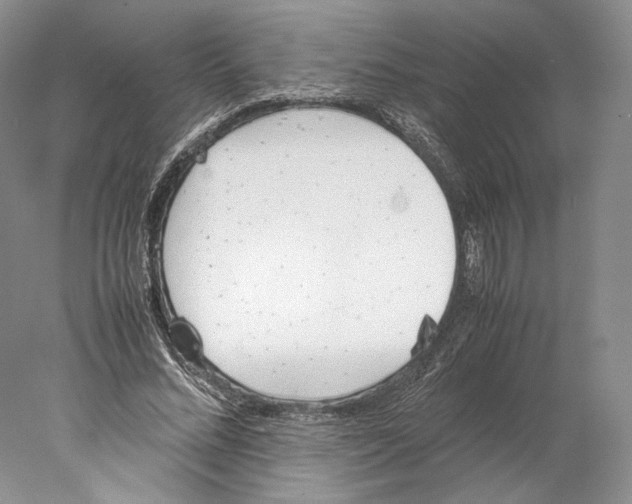 X0000077990684200611251412