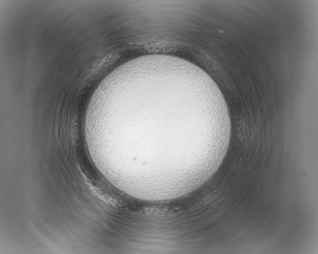 X0000077990690200611251412