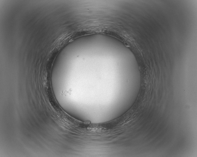 X0000077990693200611251412