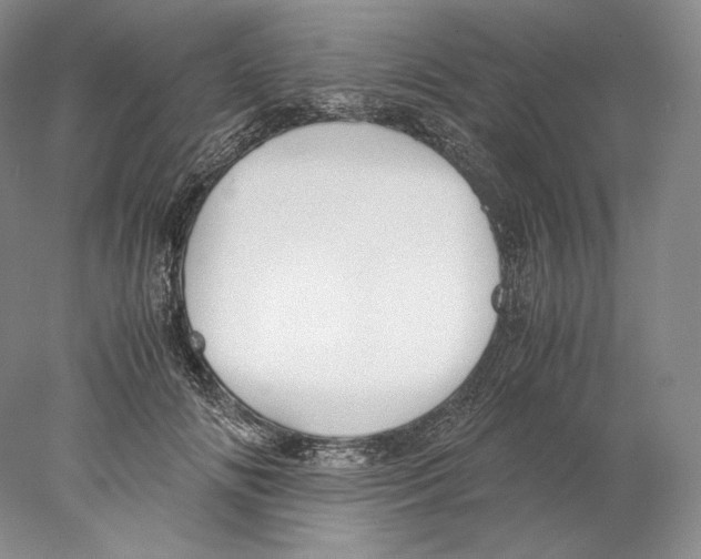 X0000077990702200611251411