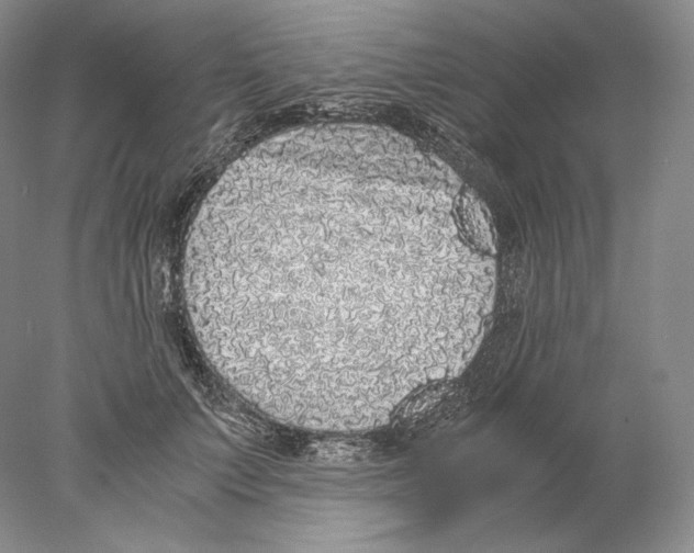 X0000077990703200611251411