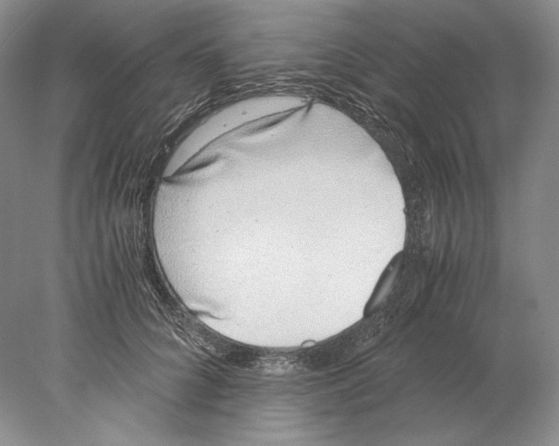 X0000077990704200611251411