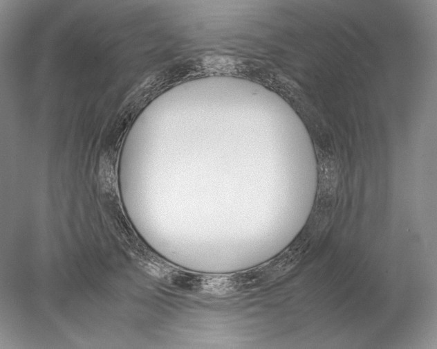 X0000077990705200611251411