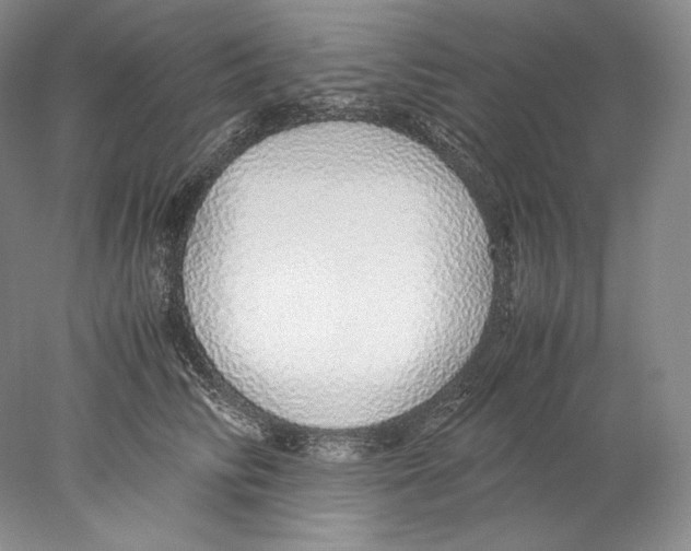 X0000077990710200611251411