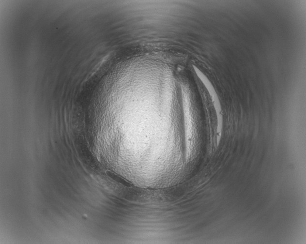 X0000077990712200611251411