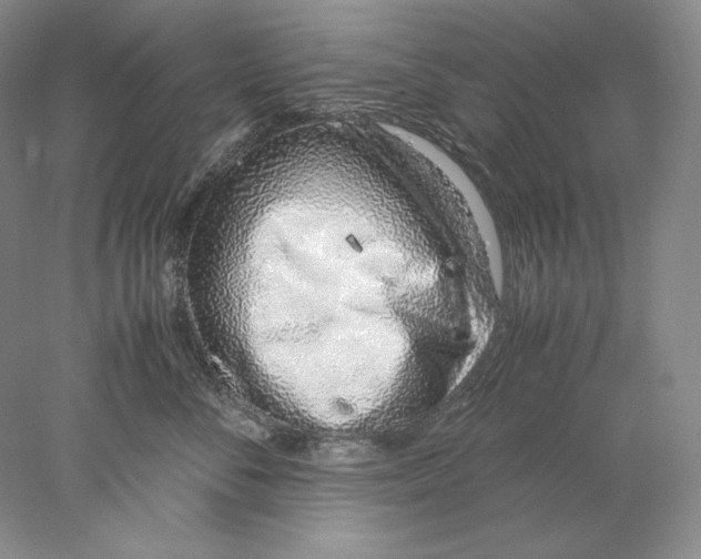 X0000077990716200611251411
