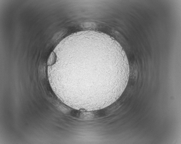 X0000077990717200611251411