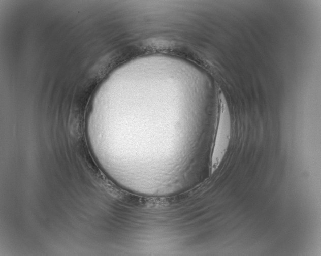 X0000077990718200611251411