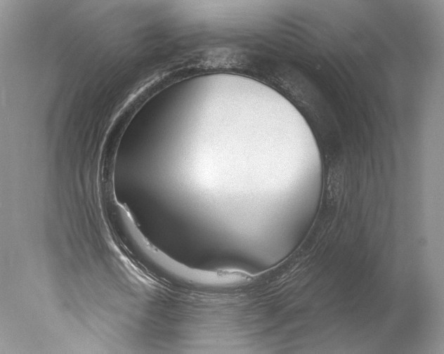 X0000077990722200611251410