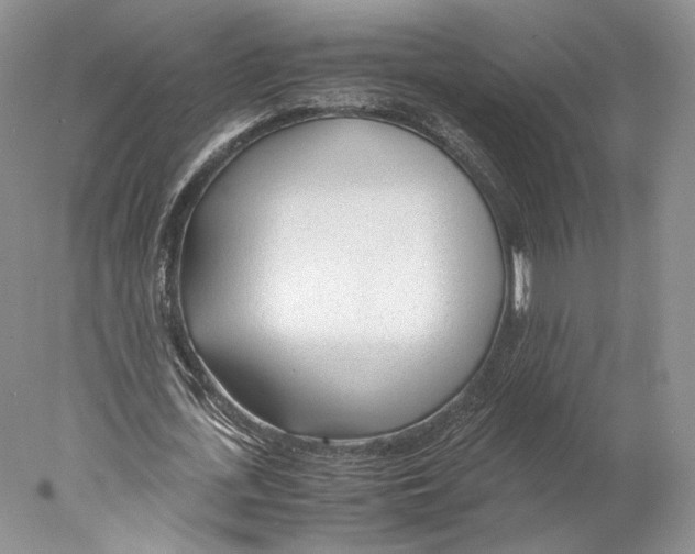 X0000077990723200611251410
