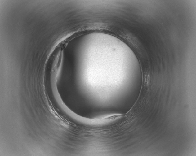 X0000077990724200611251410