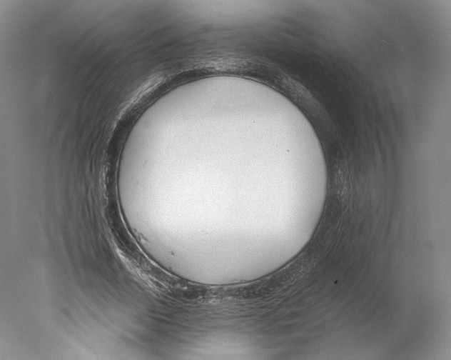X0000077990730200611251410