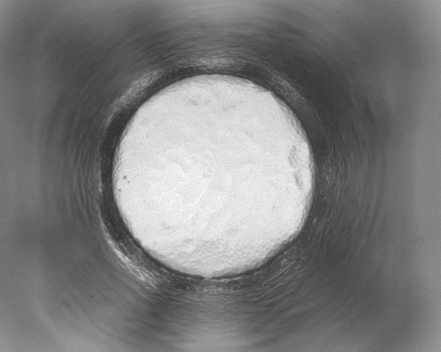 X0000077990734200611251411