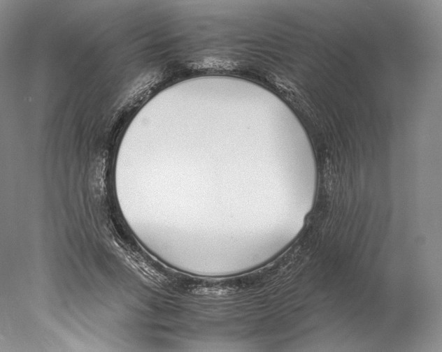 X0000077990735200611251411