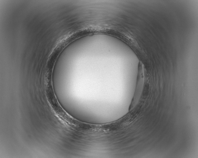 X0000077990736200611251411