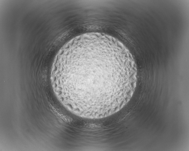 X0000077990737200611251411