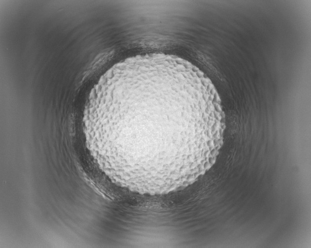 X0000077990738200611251411