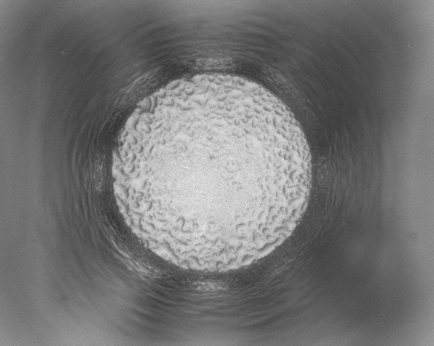 X0000077990741200611251411