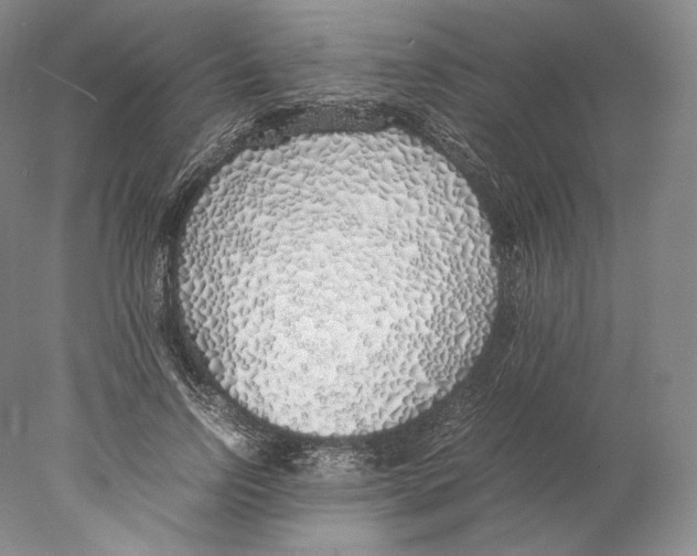 X0000077990742200611251411