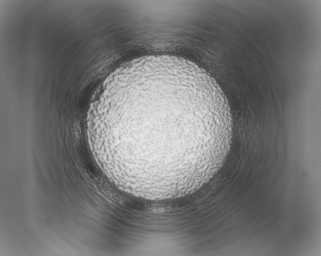 X0000077990746200611251411