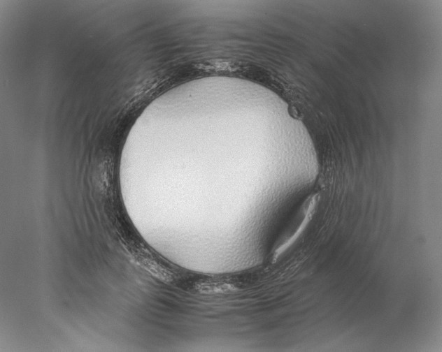 X0000077990747200611251411