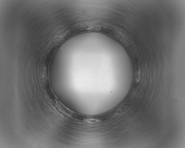 X0000077990748200611251411