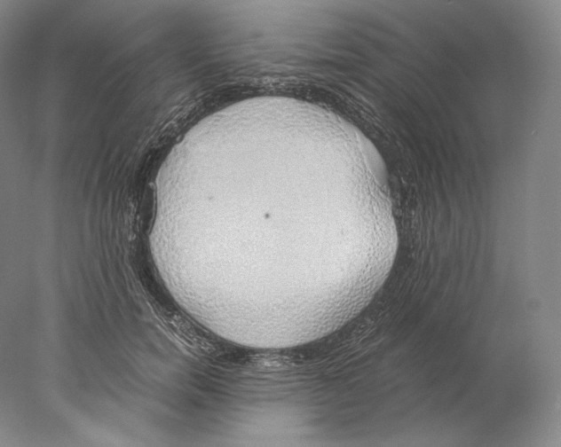 X0000077990750200611251411