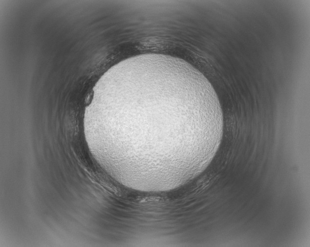 X0000077990751200611251411