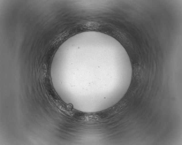 X0000077990752200611251411