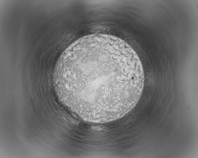 X0000077990753200611251411