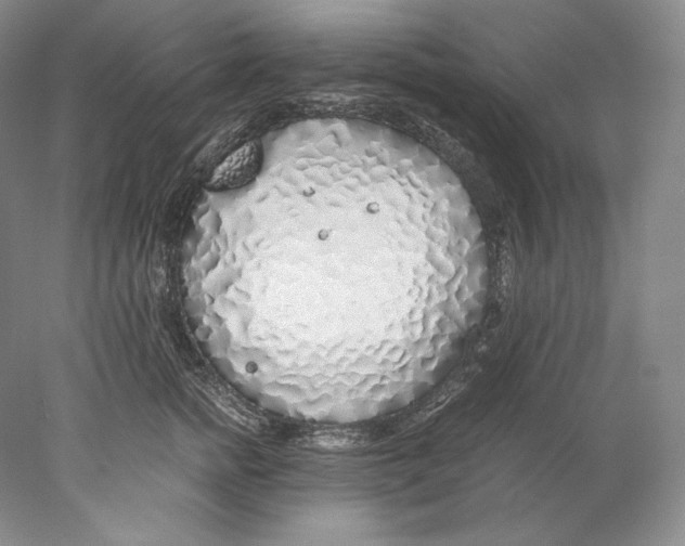 X0000077990758200611251411