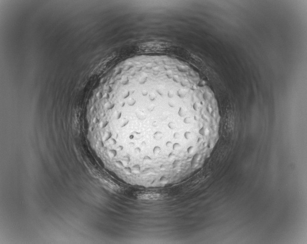 X0000077990759200611251411