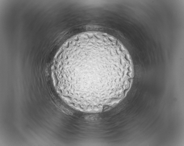 X0000077990761200611251411