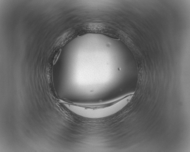 X0000077990762200611251411