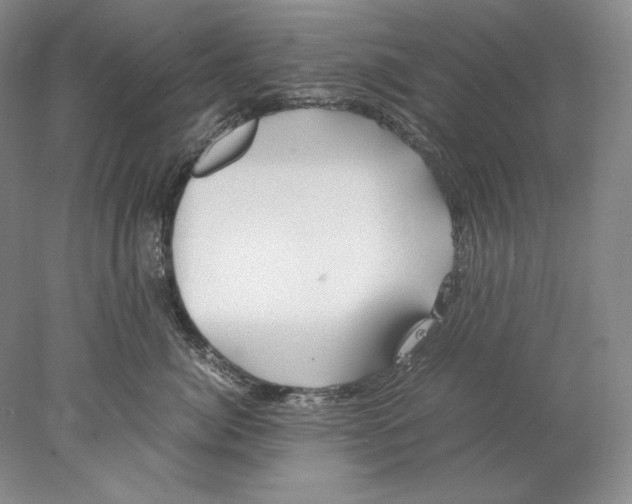 X0000077990764200611251411
