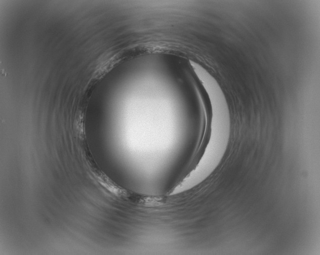 X0000077990766200611251411