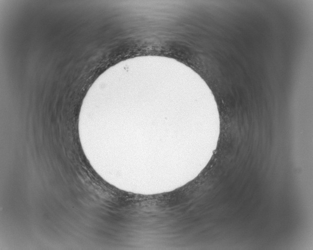 X0000077990769200611251410