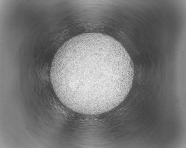 X0000077990770200611251410